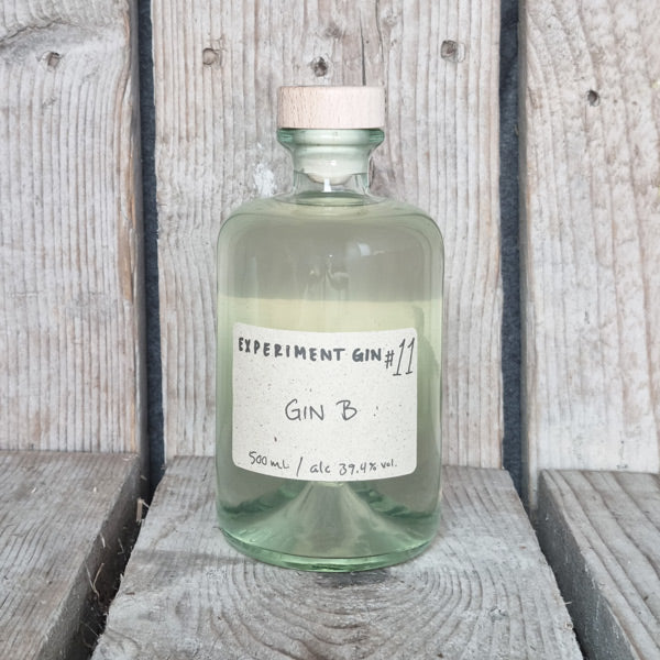 Experiment Gin #11