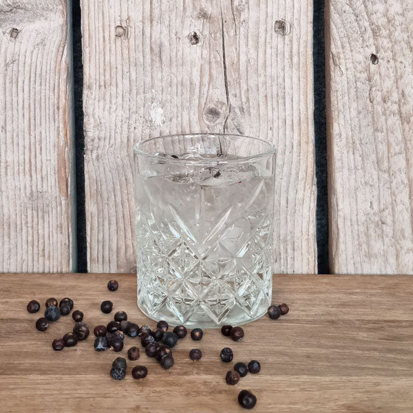 Smoked Pine Gin & Tonic i glas