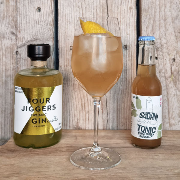 Elderflower Gin & Tonic