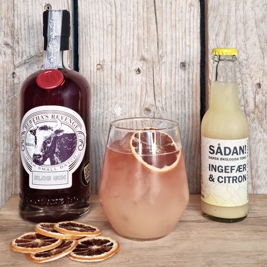 Sloe Ginger Gin & Tonic